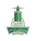 King Abd El Aziz University